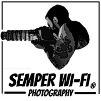 Semper Wi-Fi logo - Similar company to Jamal'S Giants
