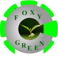 Foxy green hub resources logo - Similar company to Imad Eduso