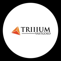 Triiium Vastgoed BV logo - Similar company to Sinis