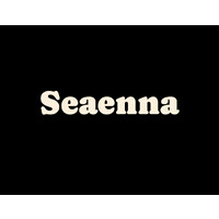Seaenna logo - Similar company to Infinity Consulting