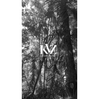 KVZ Conciergerie logo - Similar company to Caraïbes Autrement