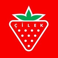 Çilek logo - Similar company to Alfemo