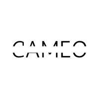 Cameo • კამეო logo - Similar company to Vdc • ვი დი სი