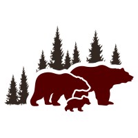 Bear Developmental Optometry logo - Similar company to Pfl Logistics