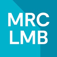 MRC Laboratory of Molecular Biology (LMB) logo - Similar company to Medical Research Council