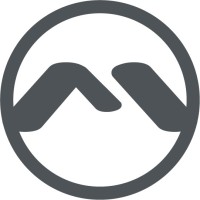 Motion SI Mexico / USA logo - Similar company to Motion Transport