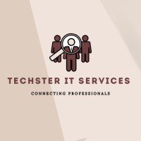 Techster IT Services logo - Similar company to Zenfinity Inc