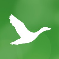 Green Medical Laboratorios logo - Similar company to Stalus Group