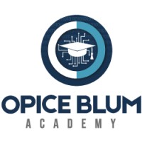 Opice Blum Academy logo - Similar company to Instituto Peck De Cidadania Digital