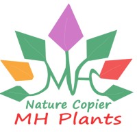 Artificial Plants logo - Similar company to Xin Hai Arts & Crafts Co., Ltd