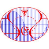 Shorey E- Solutions logo - Similar company to Techmythra Technologies