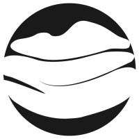 Ninth Binary logo - Similar company to Rebelhack