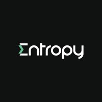 Entropy logo - Similar company to Intelligent Decisions