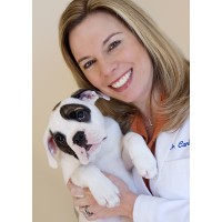 Loving Care Animal Hospital Palatine, IL logo - Similar company to Allegra Marketing Print & Mail - Palatine, Il And Kenosha, Wi