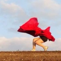Wild Space Dance Co