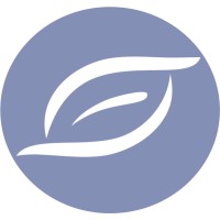Netsaluti