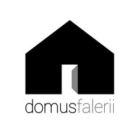 domusfalerii logo - Similar company to Sanitea