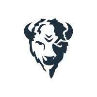 Bison Payments logo - Similar company to Bison Technologies