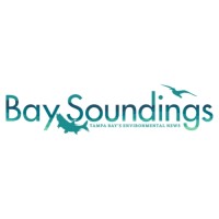 Bay Soundings logo - Similar company to Environment Solutions Aps