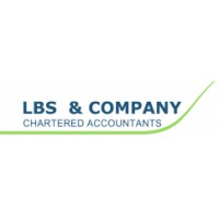LBS & Co. logo - Similar company to Expert Advisorz