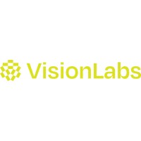 Vision Labs logo - Similar company to Factorin