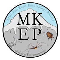 Matienzo Karst Entomology Project logo - Similar company to Practical Entomology Llc