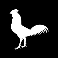 Bawcock Consulting