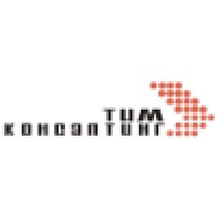 Team-Consulting Rus logo - Similar company to Powerhut Ltd