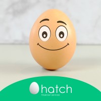 Hatch Financial Services logo - Similar company to Hatch Financial Group