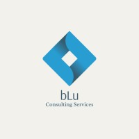 bLu Consulting Services logo - Similar company to Baig Developers