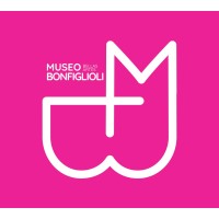 Museo De Bellas Artes Fernando Bonfiglioli