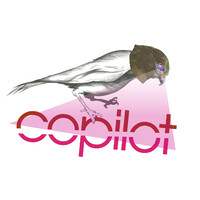 COPILOT Music + Sound logo - Similar company to Dungeon Beach