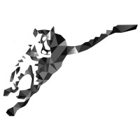 Via Genero Ltd logo - Similar company to American Eagle Express Inc