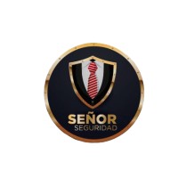 Señor Seguridad en Youtube logo - Similar company to Miami Strategic Intelligence Institute