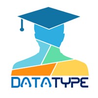 DataType LLC logo - Similar company to Datatypes