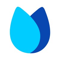 Vidyalai logo - Similar company to Techpro Education