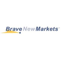 Brave New Markets logo - Similar company to Panda Analytics