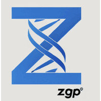 ZGP Consulting logo - Similar company to Ofixu.Com