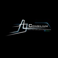 ConsiliumStudio logo - Similar company to Minicode