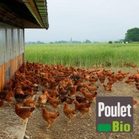 Universal Bio Agro-Service logo - Similar company to Ngr Agro Chap