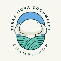 Terra Nova Cogumelos