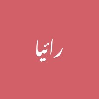 Raiya logo - Similar company to Illuminate.Org