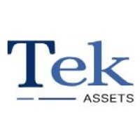 Tek Assets logo - Similar company to Prg Solutions Llc