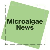 Microalgae News logo - Similar company to Algae-State