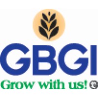 GBGI Inc. logo - Similar company to Buyplastic.Com
