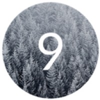 9 Pine Marketing logo - Similar company to L'Avenir Studios