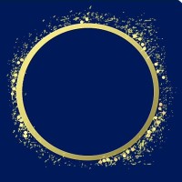 Felsner Artists logo - Similar company to Anchorage Opera