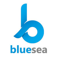 BlueSea Co logo - Similar company to Bluesea Group