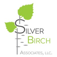 Silver Birch Associates, LLC. logo - Similar company to Source Financial Staffing