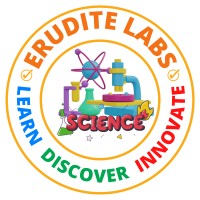 Erudite Labs logo - Similar company to Ecomsoft Tech-Solutions And Web Services Pvt. Ltd.